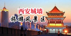 一个逼里插两根屌中国陕西-西安城墙旅游风景区